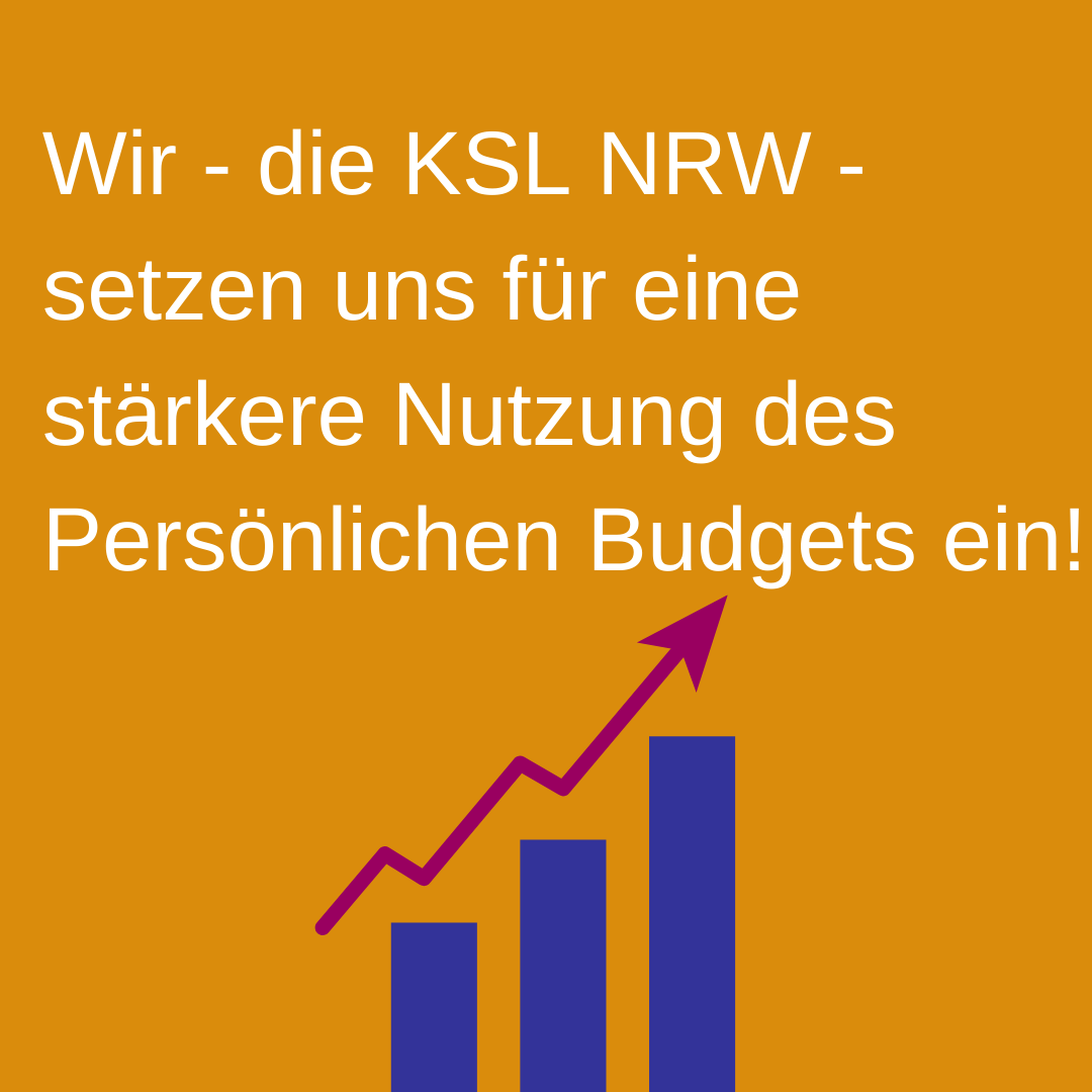 Zahlen Persönliches Budget